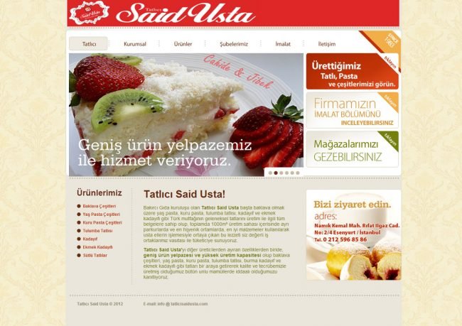 tatlıcı web tasarımı